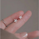 Brinco Zabrina em Prata